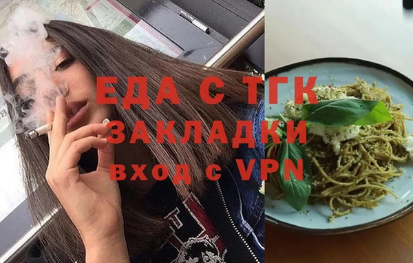 индика Вяземский