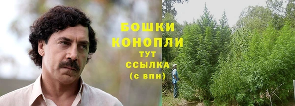 МДПВ Михайловка