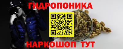 ешки Гай
