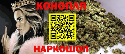 ешки Гай