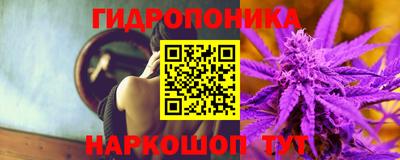 прущие грибы Апрелевка