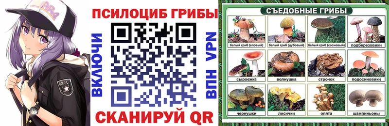 где можно купить наркотик  Ивантеевка  Псилоцибиновые грибы ЛСД 