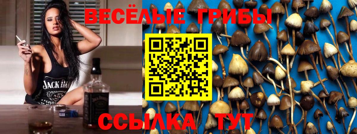 Псилоцибиновые грибы прущие грибы Ивантеевка