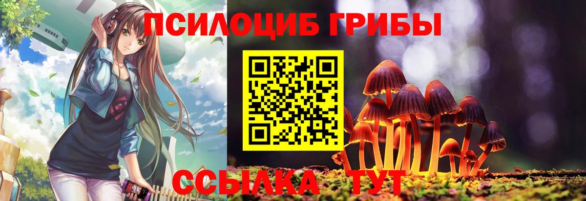 Псилоцибиновые грибы мицелий  закладки  Вход с VPN  Ивантеевка  Псилоцибиновые грибы прущие грибы 